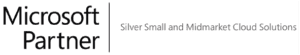 Microsoft Partner Logo
